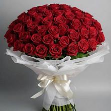 Букет 101 Красная роза Блэк Мэджик в Онуфриево