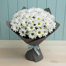 Букет цветов из:  Хризантемы #REPLACE_PRED# Онуфриево