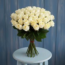 Букет 51 Белая роза Эдлесс Лав #REPLACE_PRED# Онуфриево