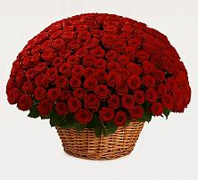 Премиум букет из: Розы в Онуфриево