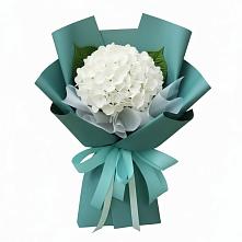 Букет цветов из:  Гортензия #REPLACE_PRED# Онуфриево